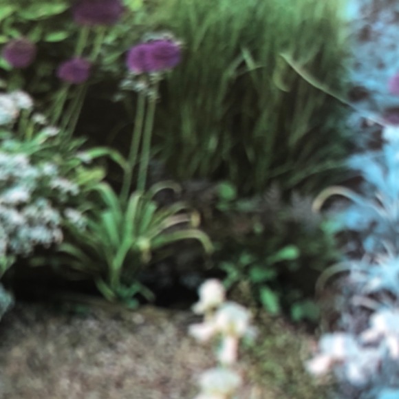 Meet your Posher, Elke - Picture 1 of 1